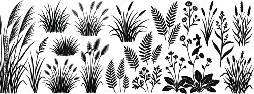 Black silhouette set of meadow grass, wild flowers, garden shrubs, forest ferns, and wetland reeds for professional landscape design projects.