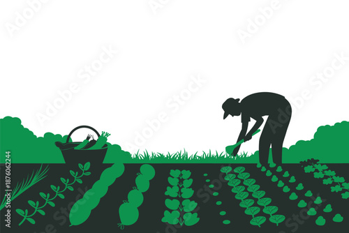 Gardener Working in a Vegetable Field, sustainable farming concept