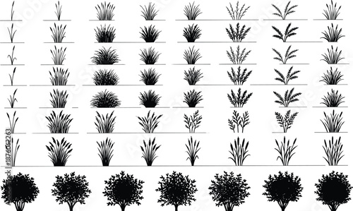Black silhouette collection of wild meadow grass, garden shrubs, outdoor bushes, and wetland reeds isolated on white background for landscape design.