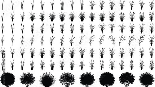 Black silhouette collection of field grass, meadow plants, garden bushes, decorative shrubs, and wild reeds for professional landscape architectural design projects.