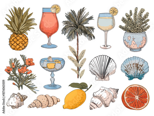 다양한 열대 과일, 칵테일, 식물, 조개껍데기, 빵, 레몬, 자몽 등 여름 테마 일러스트 모음