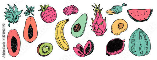 다양한 과일 일러스트, 투명한 배경에 신선하고 다채로운 열대 과일과 베리류 모음