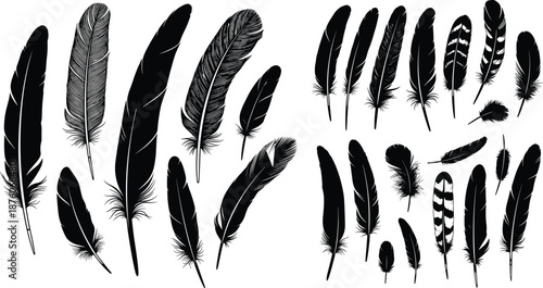 Black silhouette collection of various bird feathers featuring detailed wing plumes and downy quills in different shapes and sizes for nature and bohemian design.