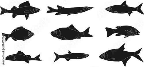 vector design silhouette set of sea fish eps