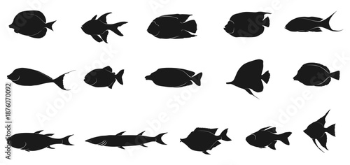 vector design silhouette set group of sea fish