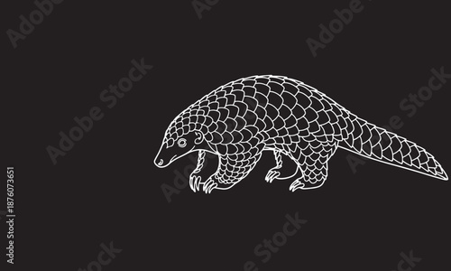 White Line Pangolin Illustration on Black Background Minimal Wildlife Vector
