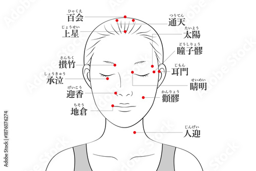 顔のツボ全体図のイラスト素材