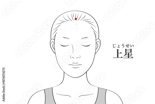 上星（じょうせい）のツボのイラスト素材