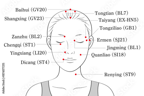 顔のツボ全体図のイラスト素材（英語表記）