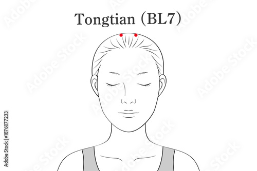 通天（つうてん）のツボのイラスト素材（英語表記）