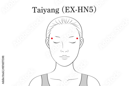 太陽（たいよう）のツボのイラスト素材（英語表記）