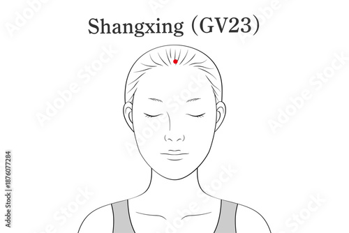 上星（じょうせい）のツボのイラスト素材（英語表記）
