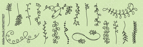 A collection of hand-drawn floral vines on a light green background. These floral vines feature various curly and leafy designs, perfect for decorative purposes. Hand drawn ornament vector set.