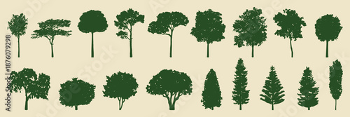 Silhouettes of various tree shapes. Tree silhouettes include deciduous and coniferous types. Tree shapes in green on a beige background. Silhouette forest elements, vector set.