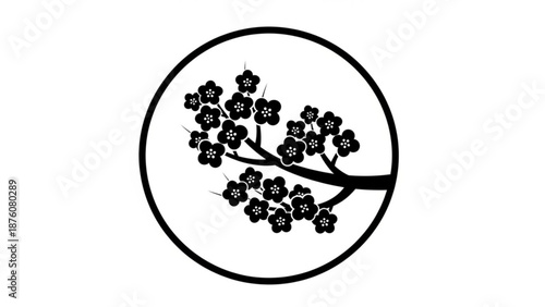 Black cherry blossom tree branch in circle frame symbol