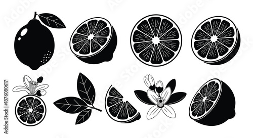 A set of black and green lime illustrations in various cuts