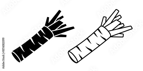 Japanese horseradish  or wasabi root set icon isolated on white background.