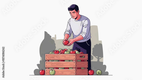 Vector graphics, flat illustration of a man picking apples from a wooden box on the street 