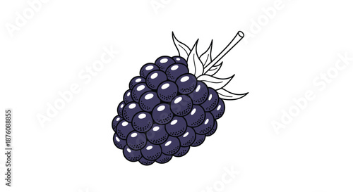 Single ripe blackberry or raspberry fruit with a stem and leaves illustrated in a detailed and appetizing cartoon style.