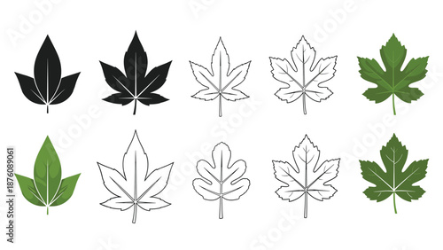 Comprehensive variety of leaf illustrations featuring different species in solid black, green, and detailed outline styles on white background.