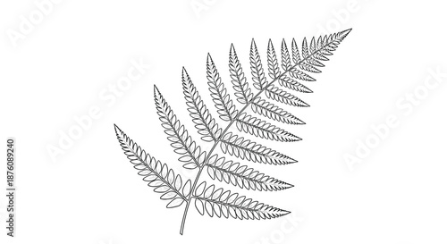 Artistic black and white line illustration of a single fern leaf showing delicate frond structures isolated on a clean white background.