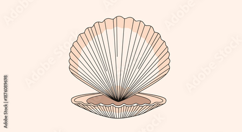 Elegant illustration of an open scallop shell in soft peach tones for coastal or marine themed designs isolated on a white background.
