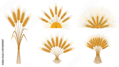 Collection of golden wheat ear illustrations and bundles arranged in various artistic patterns representing harvest and agriculture themes.