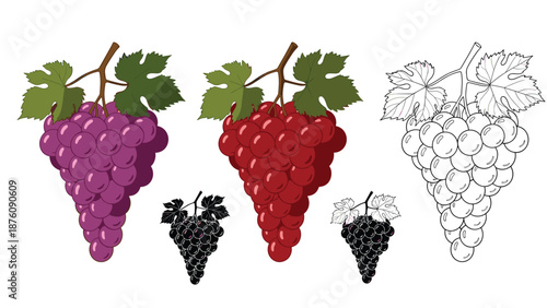Various illustrations of grape bunches in purple, red, and outline styles with leaves representing wine production, harvest, and fresh fruit.