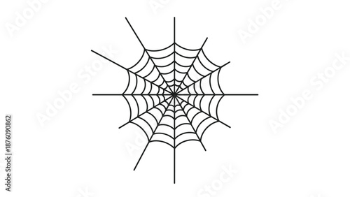 Simple symmetrical spider web illustration on a white background suitable for nature education, biology, or spooky holiday graphic designs.