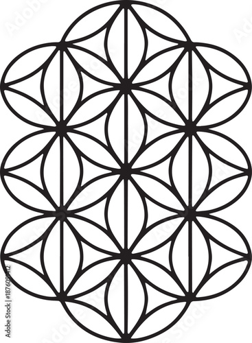Intricate flower of life sacred geometry symbol design for spiritual meditation