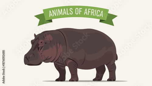 Hippo illustration with a green ribbon banner saying animals of africa on a light cream background for wildlife themes.