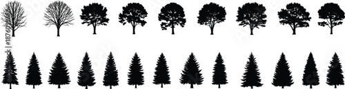 Large Set of Black Tree Silhouettes with Deciduous and Coniferous Evergreen Pine Trees in Flat Vector Illustration Style for Graphic Design