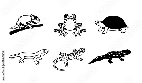 Minimal reptile and amphibian vector icons set with chameleon frog turtle lizard gecko and triton