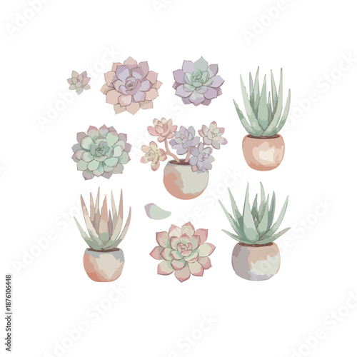 Digital watercolor vector illustration of a collection of succulents (Echeveria, Aloe Vera), soft gradients, pastel colors, artistic botanical style, isolated on white....ai