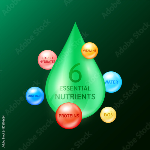 Six essential nutrients to the body. Carbohydrates Proteins Fats Vitamins Minerals and Water in transparent capsule drug on dark background. For products design supplement food. 3D vector.