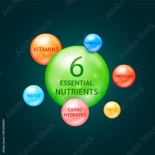 Six essential nutrients to the body. Carbohydrates Proteins Fats Vitamins Minerals and Water. Vector EPS10.