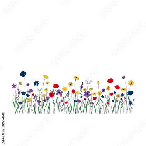 Hand-drawn style vector illustration of a field of colorful wildflowers, fine lines, minimalist aesthetic, vibrant but professional colors, isolated on white background.....ai