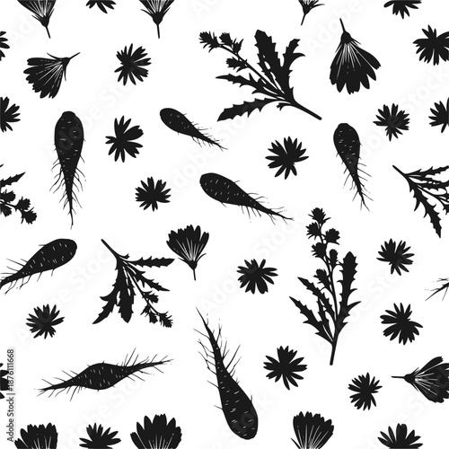 Chicory flower and root silhouette pattern vector, vintage botanical plant illustration background 
