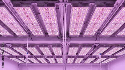 Rows of LED grow lights suspended from a metal grid in a controlled indoor agricultural setting viewed from below