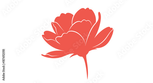 a red flower with white lines on a plain white background