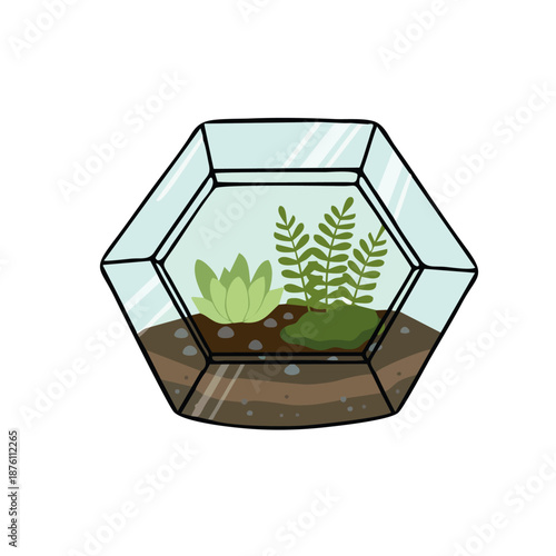 Modern vector illustration of a glass terrarium with small plants and moss inside, geometric shapes, clean flat design, trendy office decor style, isolated....ai
