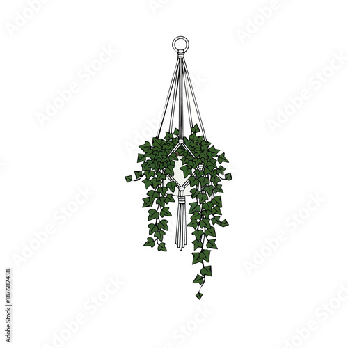 Set of various hanging indoor plants like String of Pearls and Ivy in macrame plant hangers, flat vector style, modern home decor illustration, isolated, high resolution......ai