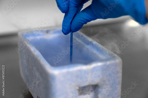 Tableau sur toile Embryologist in blue gloves using liquid nitrogen for cryopreservation of embryos and eggs in IVF lab, vitrification process in fertility clinic for assisted reproductive technology and pregnancy
