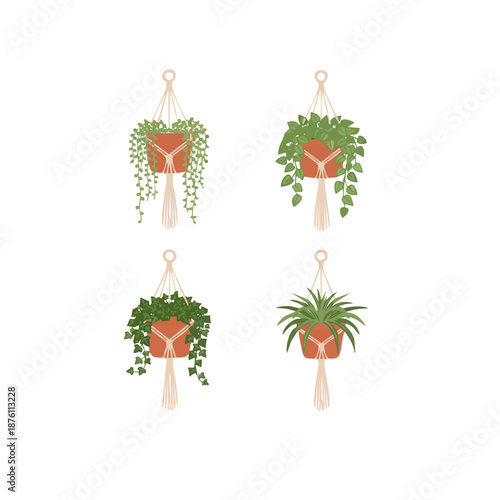 Set of various hanging indoor plants like String of Pearls and Ivy in macrame plant hangers, flat vector style, modern home decor illustration, isolated, high resolution.ai