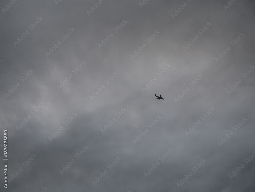 Obraz premium flying in the sky
