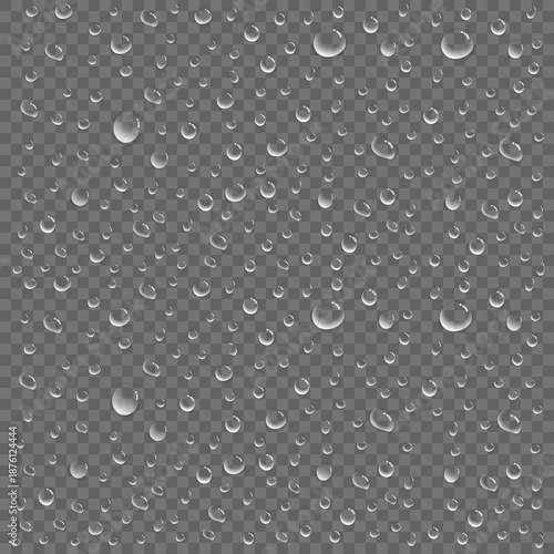 Realistic water drops on transparent background, condensation droplets vector, Clear liquid droplets pattern, realistic water dew drops on glass surface