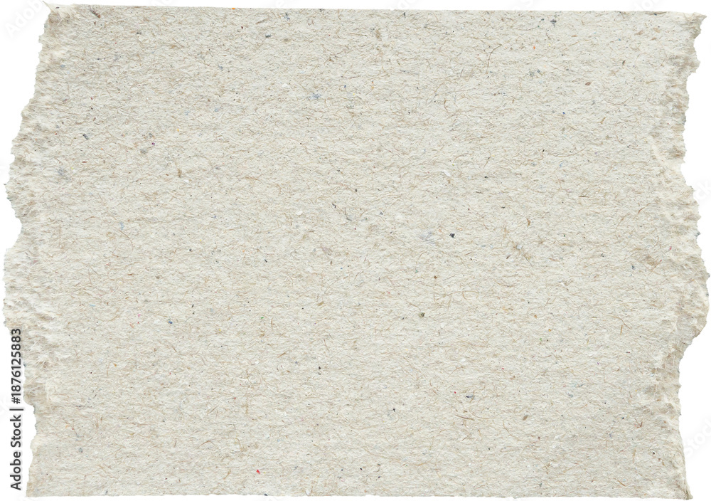 Fototapeta premium piece of white paper tear isolated on white background