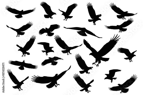 Flying Eagle Silhouettes Collection on White Background, icon sheet