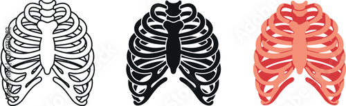 Human rib cage illustration set: outline, silhouette, and colored versions for medical design