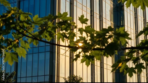 Wallpaper Mural Modern Glass Building with Sunset Reflection and Green Leaves Serene Urban Scene with Reflective Surface and Warm Glow Cityscape Torontodigital.ca